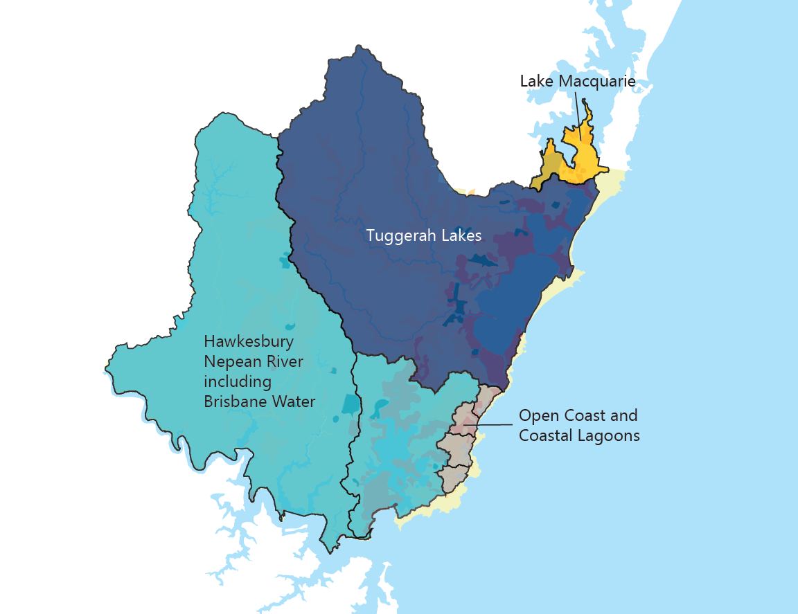 Map image display of catchment areas for each of the Coastal Management Programs.