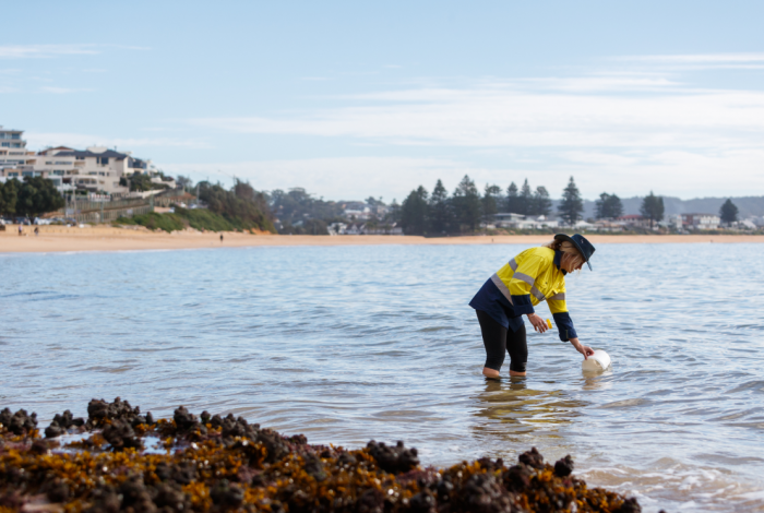 Beach image with rocks in foreground, water and sand and mouatins in background. Female Council staff member is standing in water taking a sample for analysis.