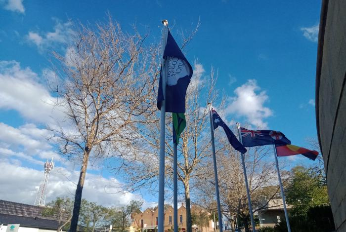 Flags flying outside council chambers